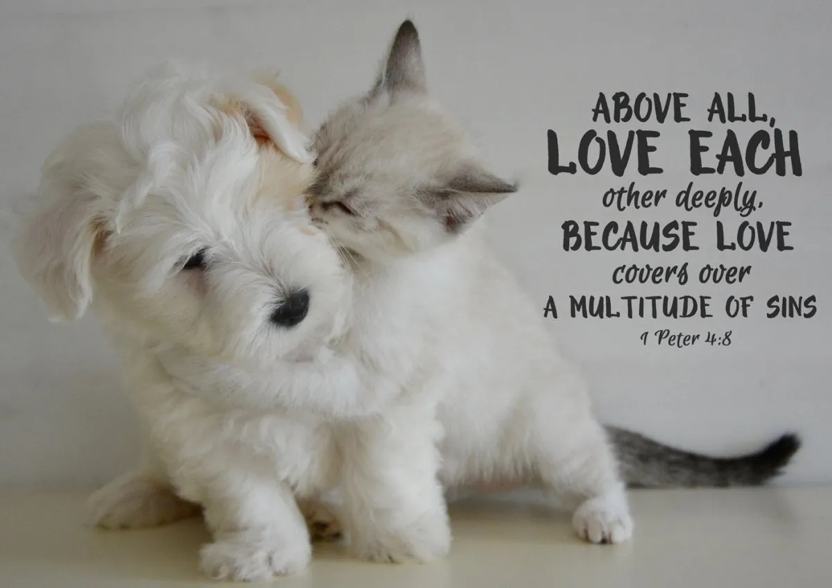 1 Peter 48 Above All Love Each Other Canvas Wall Art Print - Christian Canvas Wall Art