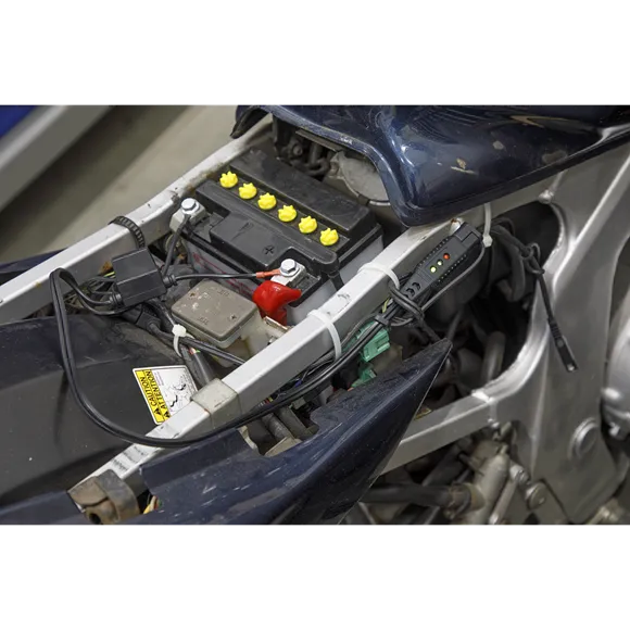 12V Ring Terminal Battery Indicator Cable
