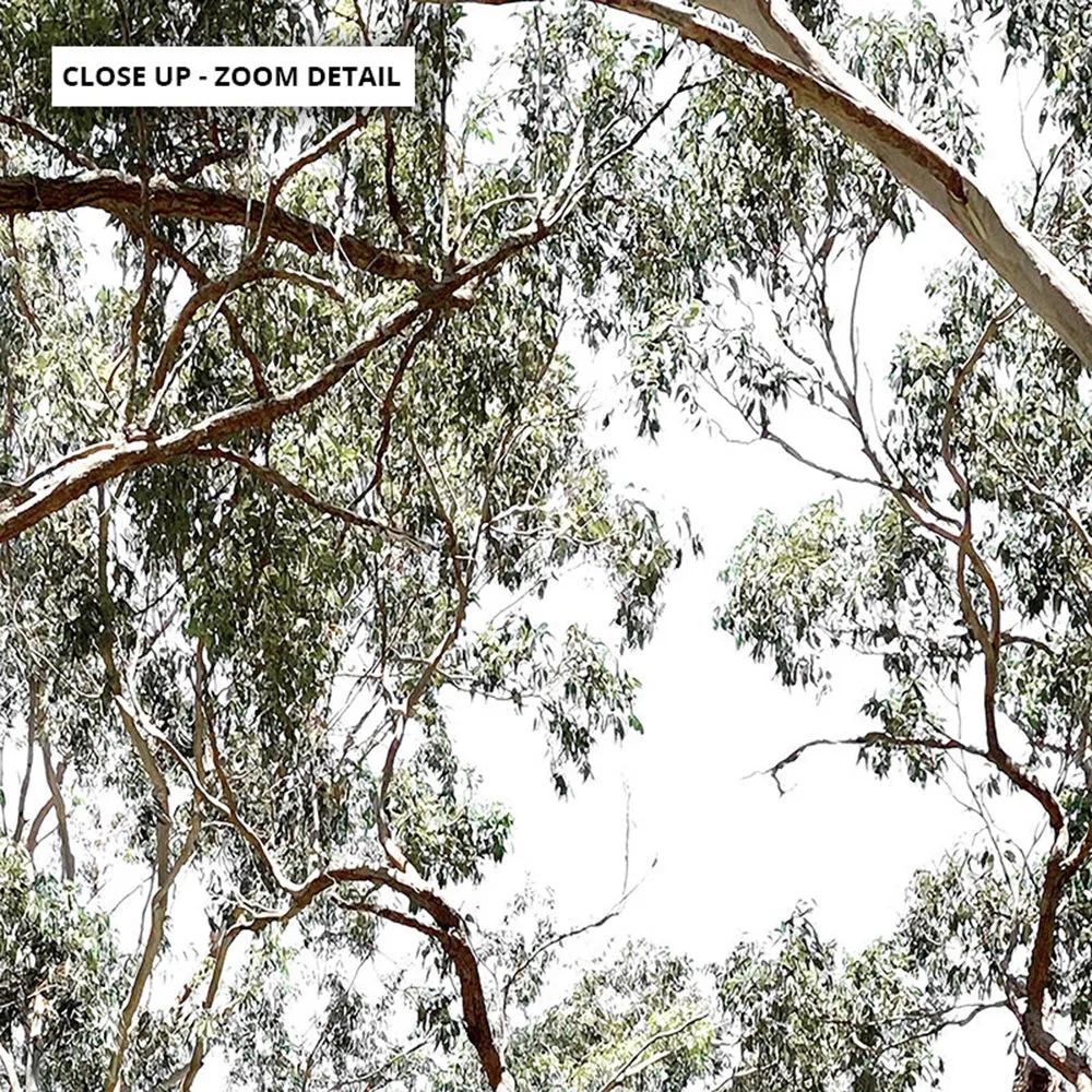 Among the Gumtrees - Art Print