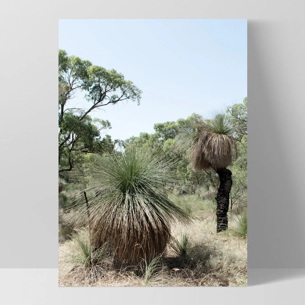 Australian Bush Grass Trees I - Art Print