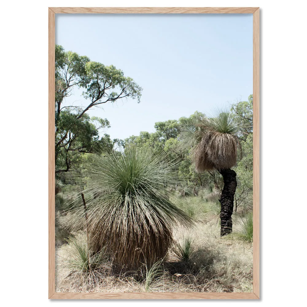 Australian Bush Grass Trees I - Art Print