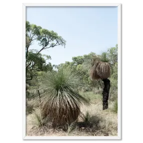 Australian Bush Grass Trees I - Art Print