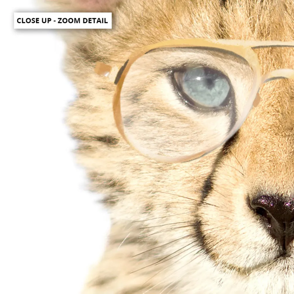 Baby Cheetah Cub with Sunnies - Art Print