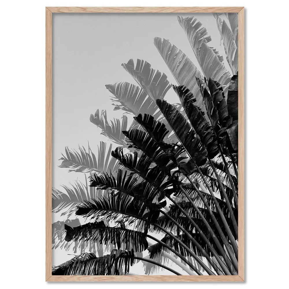 Banana Leaves Palm I | Black & White - Art Print