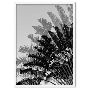 Banana Leaves Palm I | Black & White - Art Print