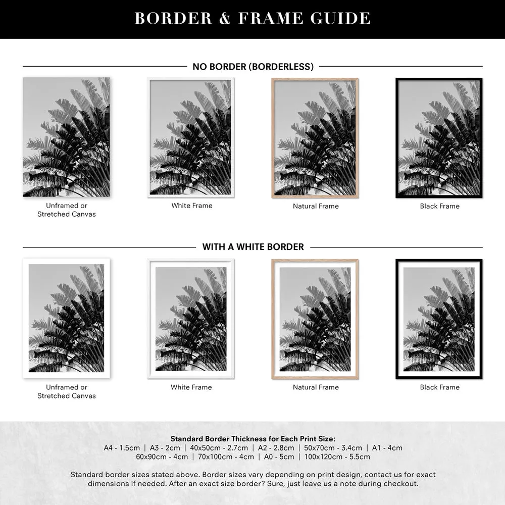 Banana Leaves Palm I | Black & White - Art Print