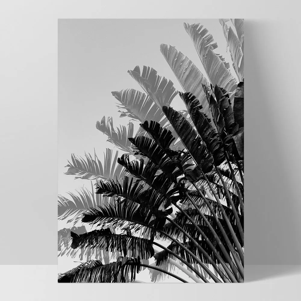 Banana Leaves Palm I | Black & White - Art Print