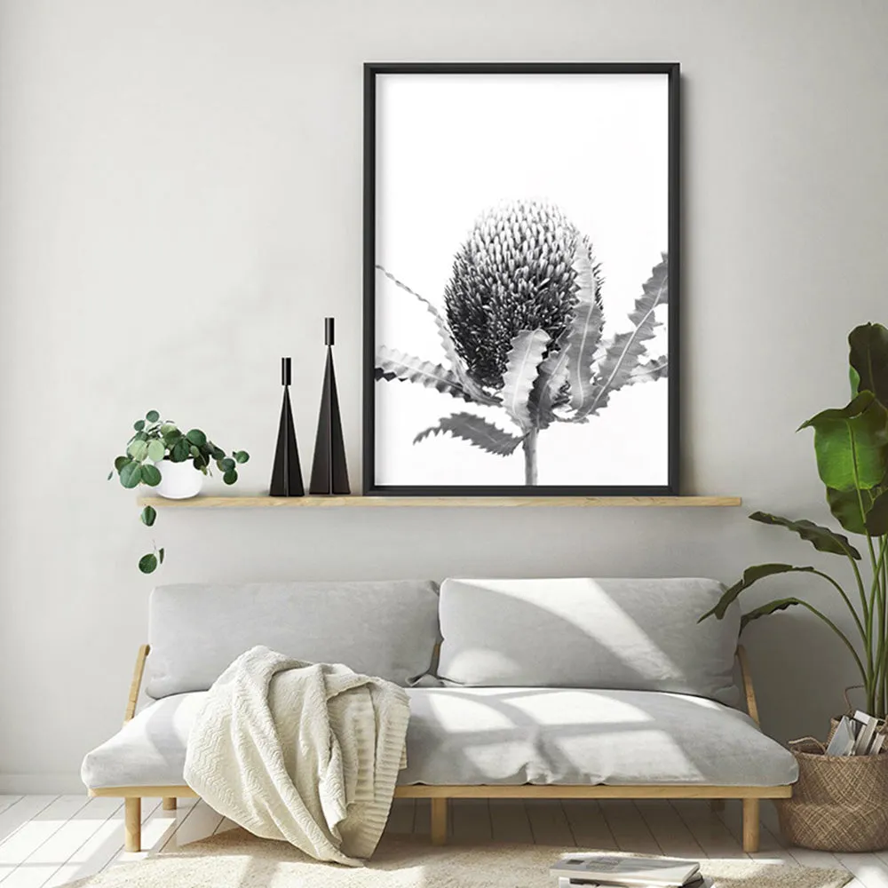 Banksia Flower Black and White - Art Print