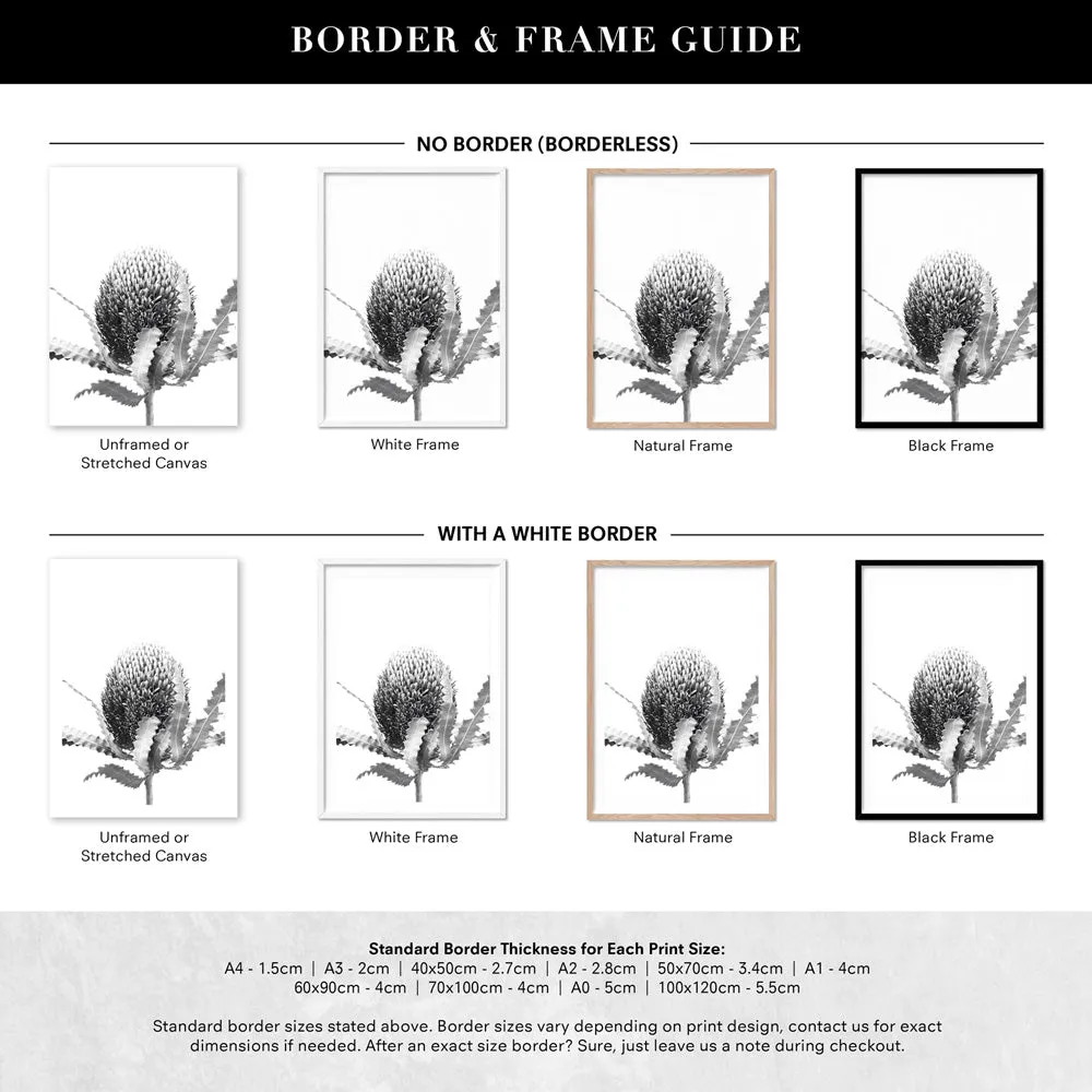 Banksia Flower Black and White - Art Print