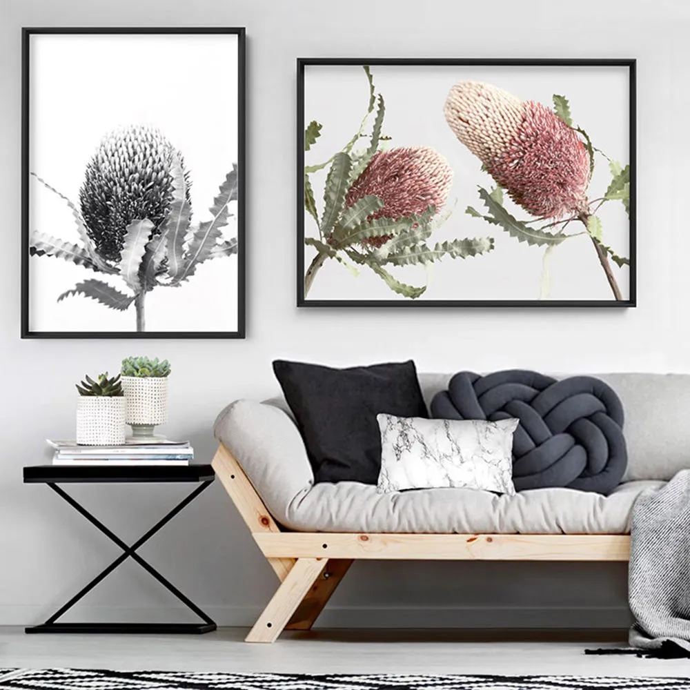 Banksia Flower Black and White - Art Print