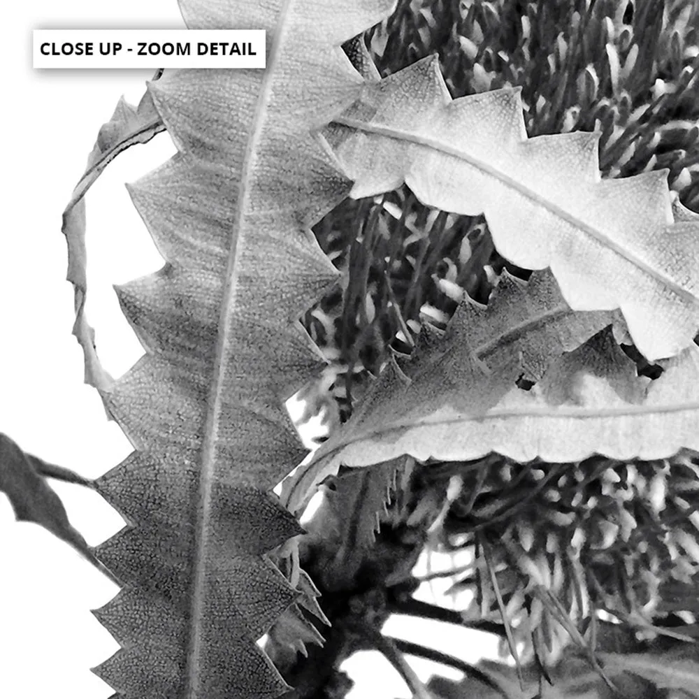 Banksia Flower Duo Black and White - Art Print