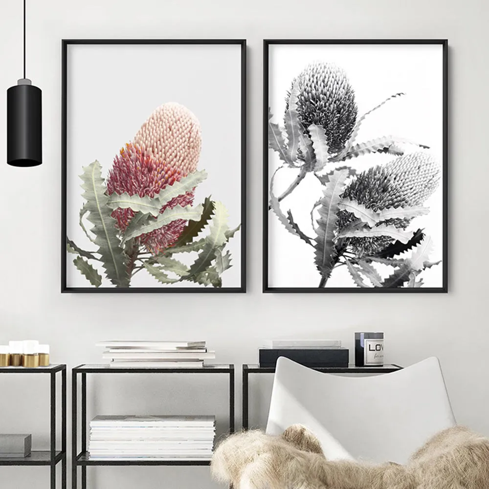 Banksia Flower Duo Black and White - Art Print
