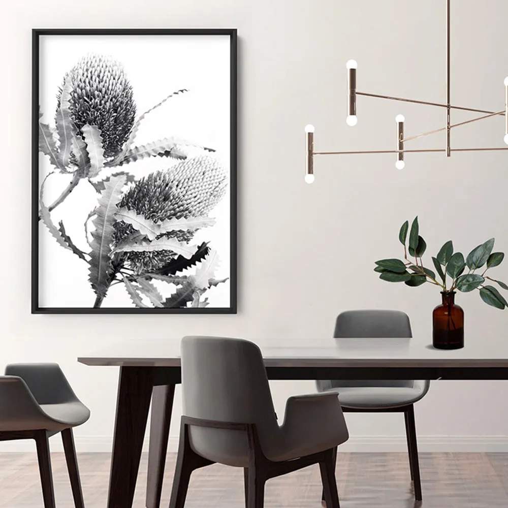 Banksia Flower Duo Black and White - Art Print