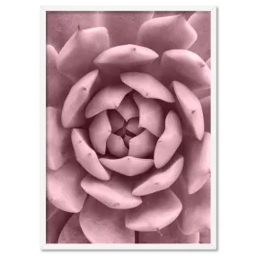 Blush Succulent IV - Art Print