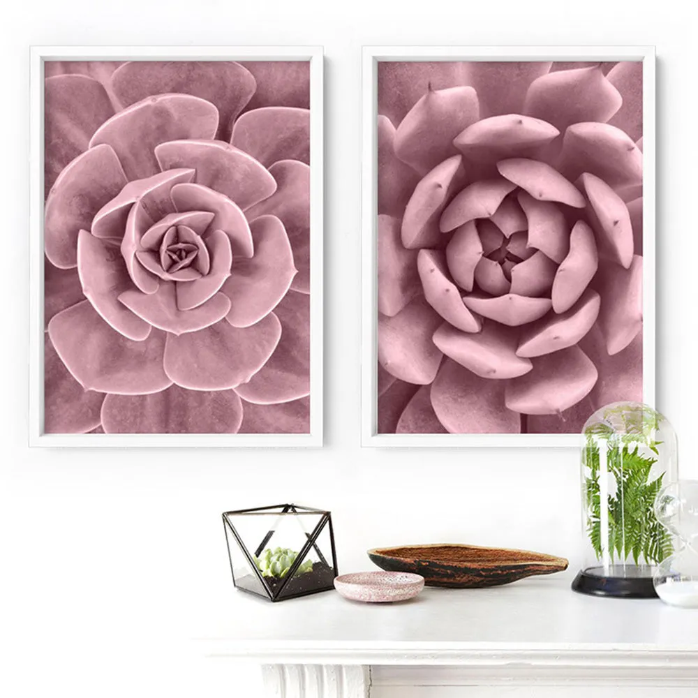 Blush Succulent IV - Art Print