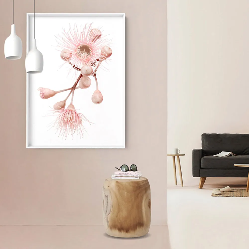 Blushing Gumtree Blossom - Art Print
