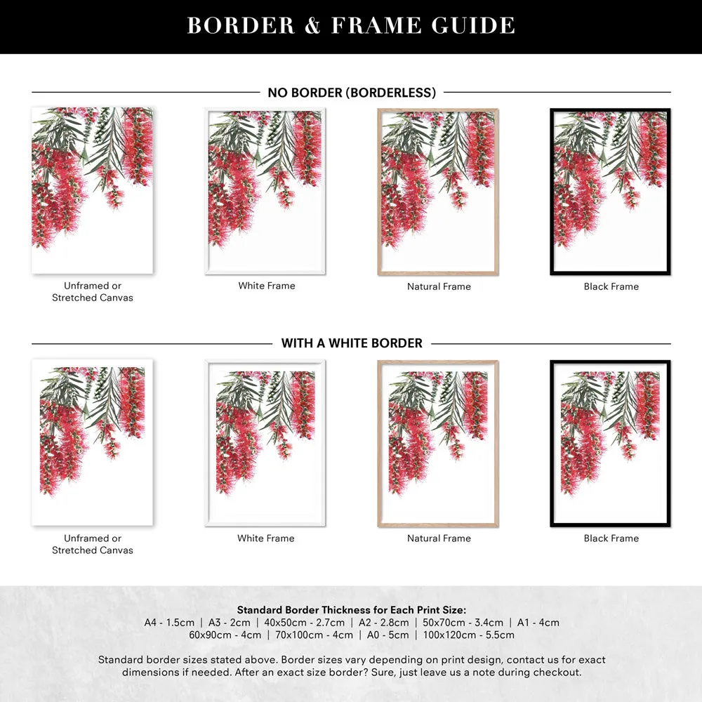 Bottle Brush Flowers II - Art Print