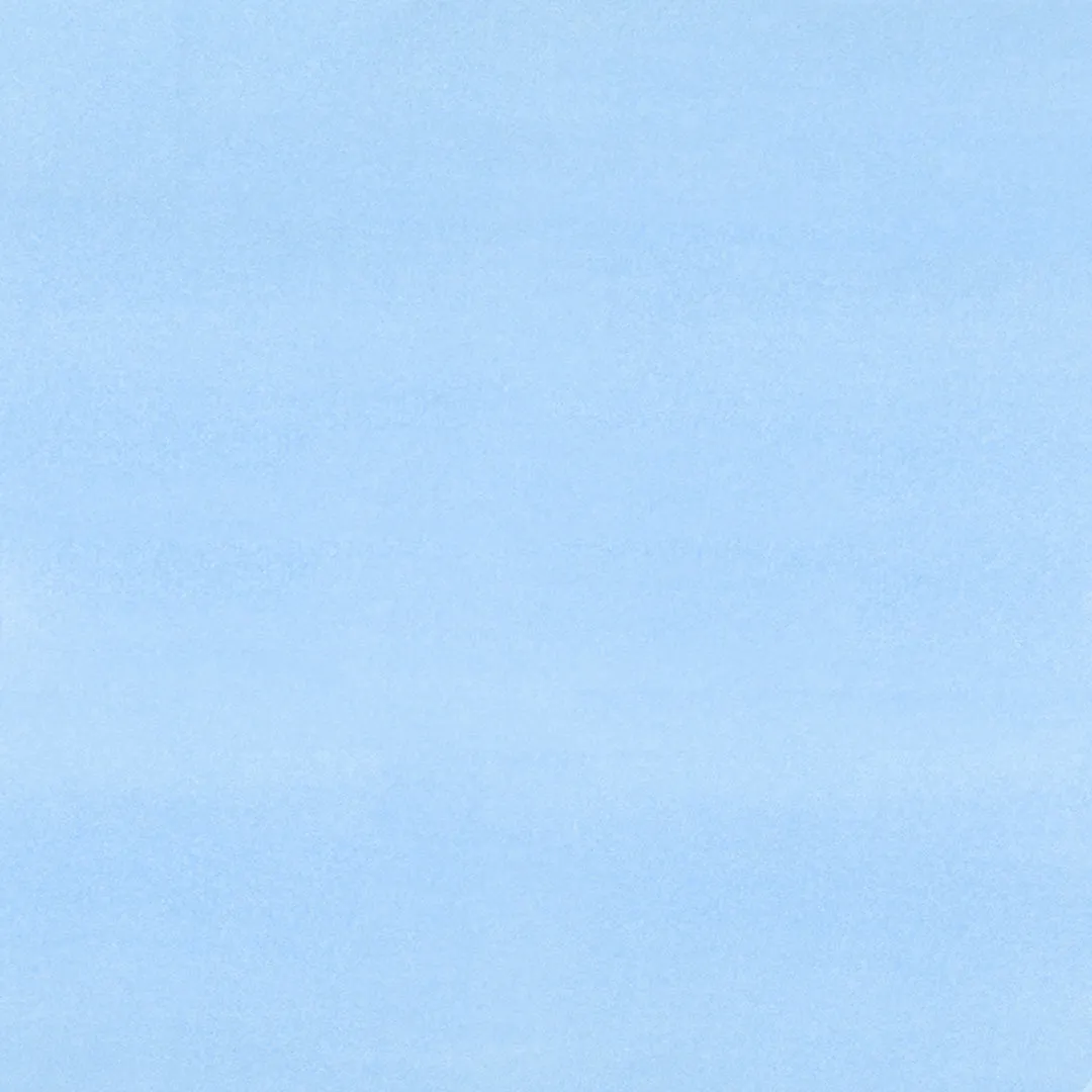 Brush Ink - B0.2 Forget-me-not
