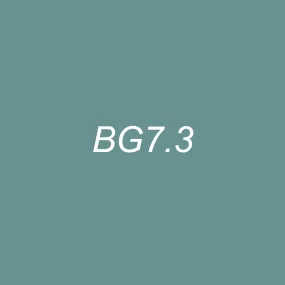 Brush Ink - BG7.3 Blue Spruce