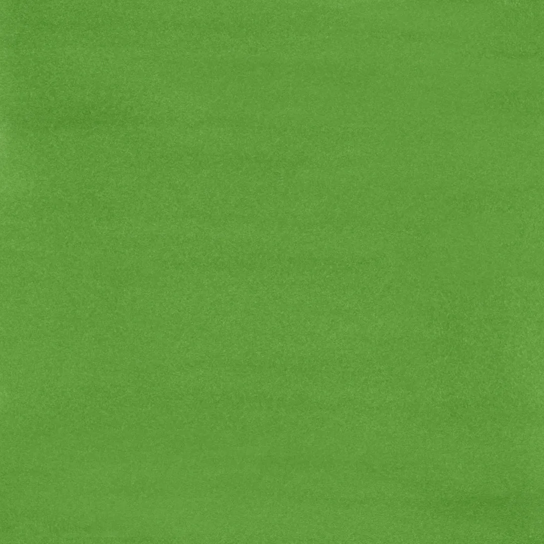 Brush Ink - G5.3  Green Bean