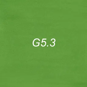 Brush Ink - G5.3  Green Bean