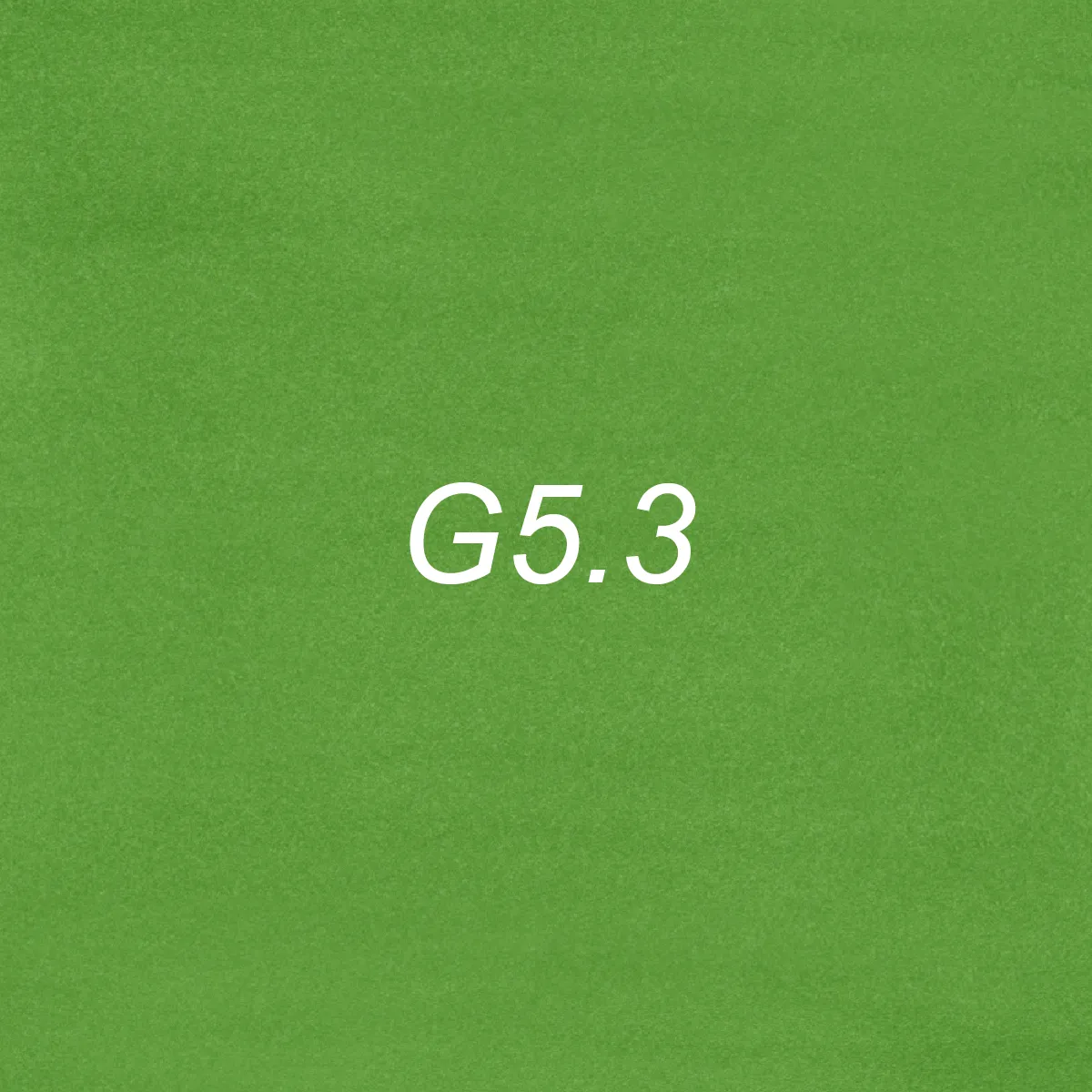 Brush Ink - G5.3  Green Bean