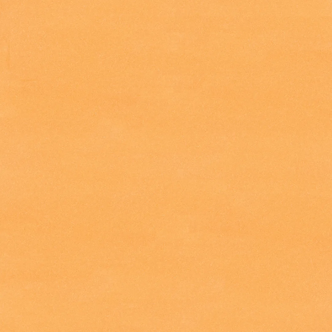 Brush Ink - O1.2 Loquat
