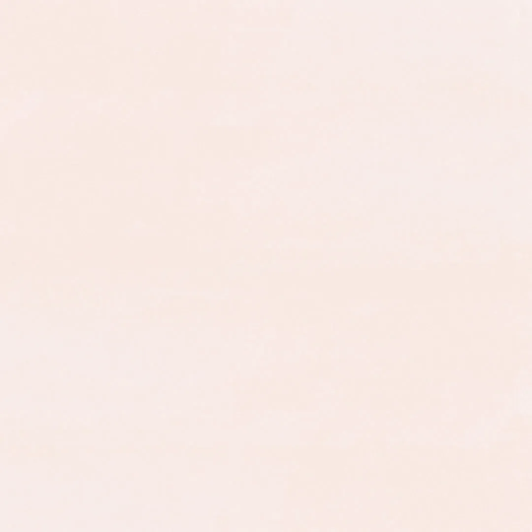 Brush Ink - OR1.0 Sea Shell