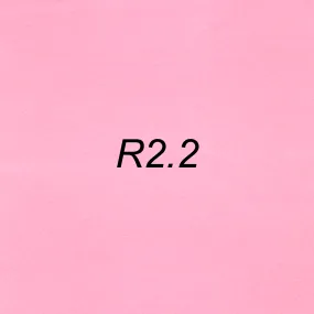 Brush Ink - R2.2 Peach Blossom