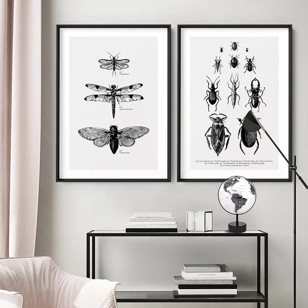 Bugs & Insects Entomology - Art Print