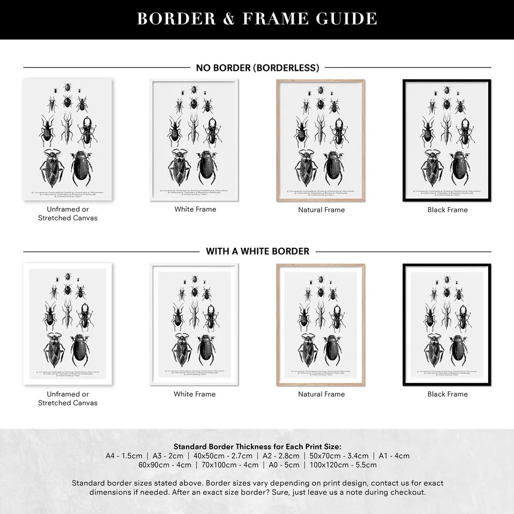 Bugs & Insects Entomology - Art Print