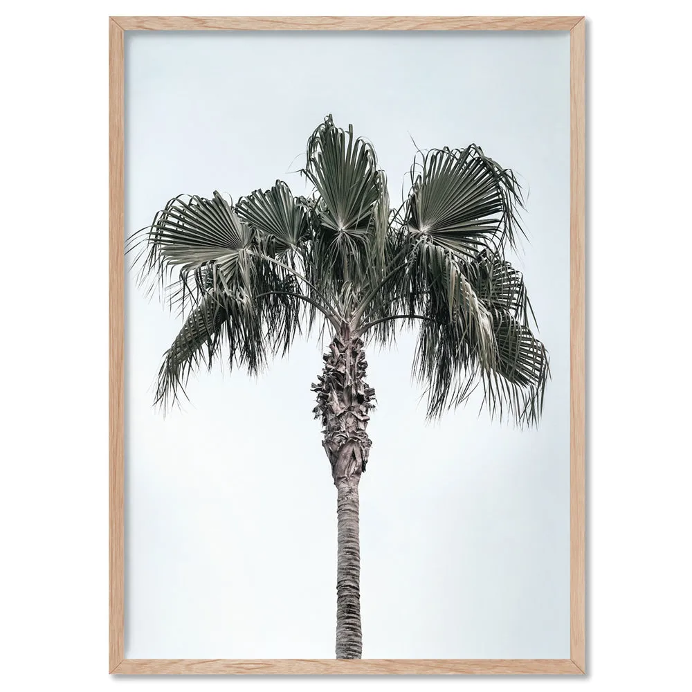 California Coastal Palm Tree Portrait - Art Print