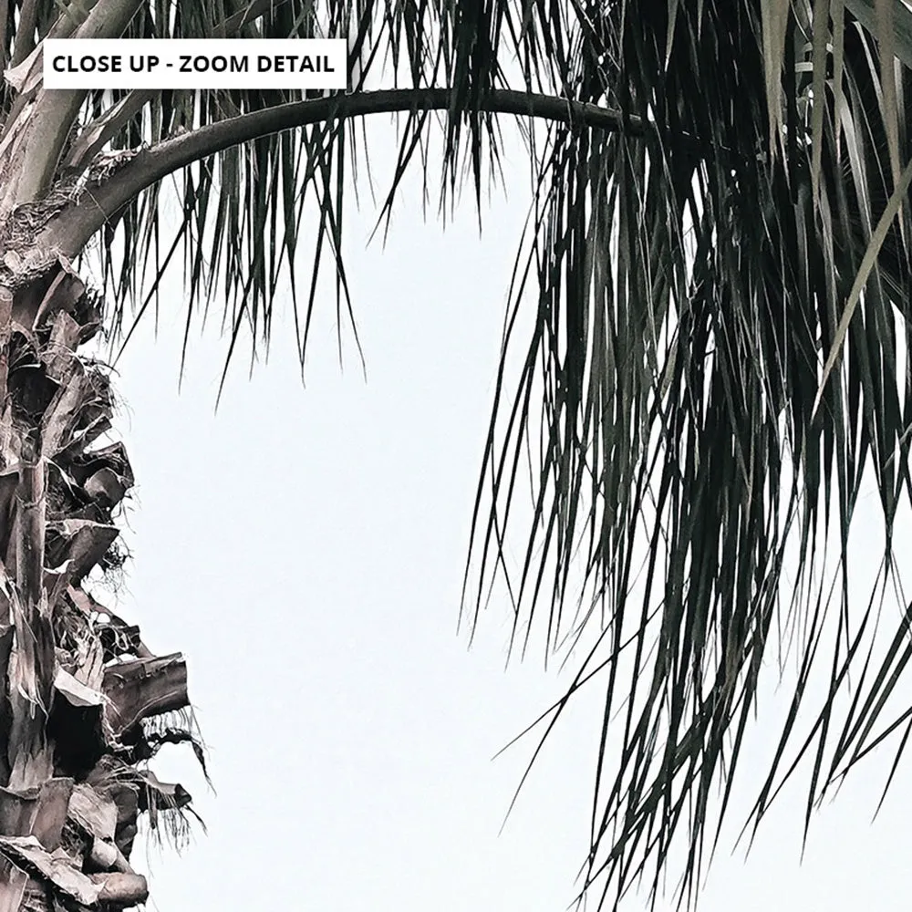 California Coastal Palm Tree Portrait - Art Print