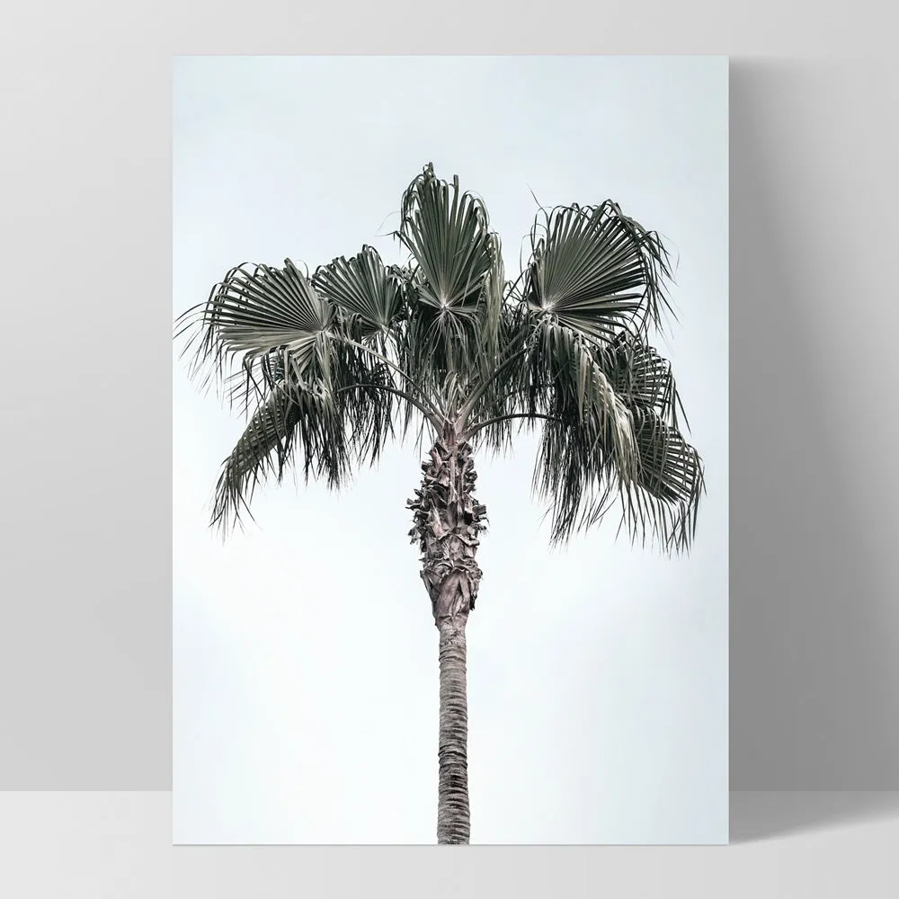 California Coastal Palm Tree Portrait - Art Print