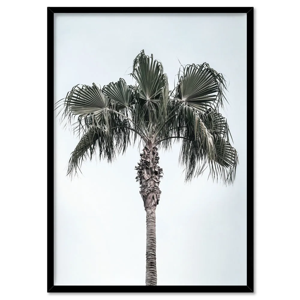 California Coastal Palm Tree Portrait - Art Print
