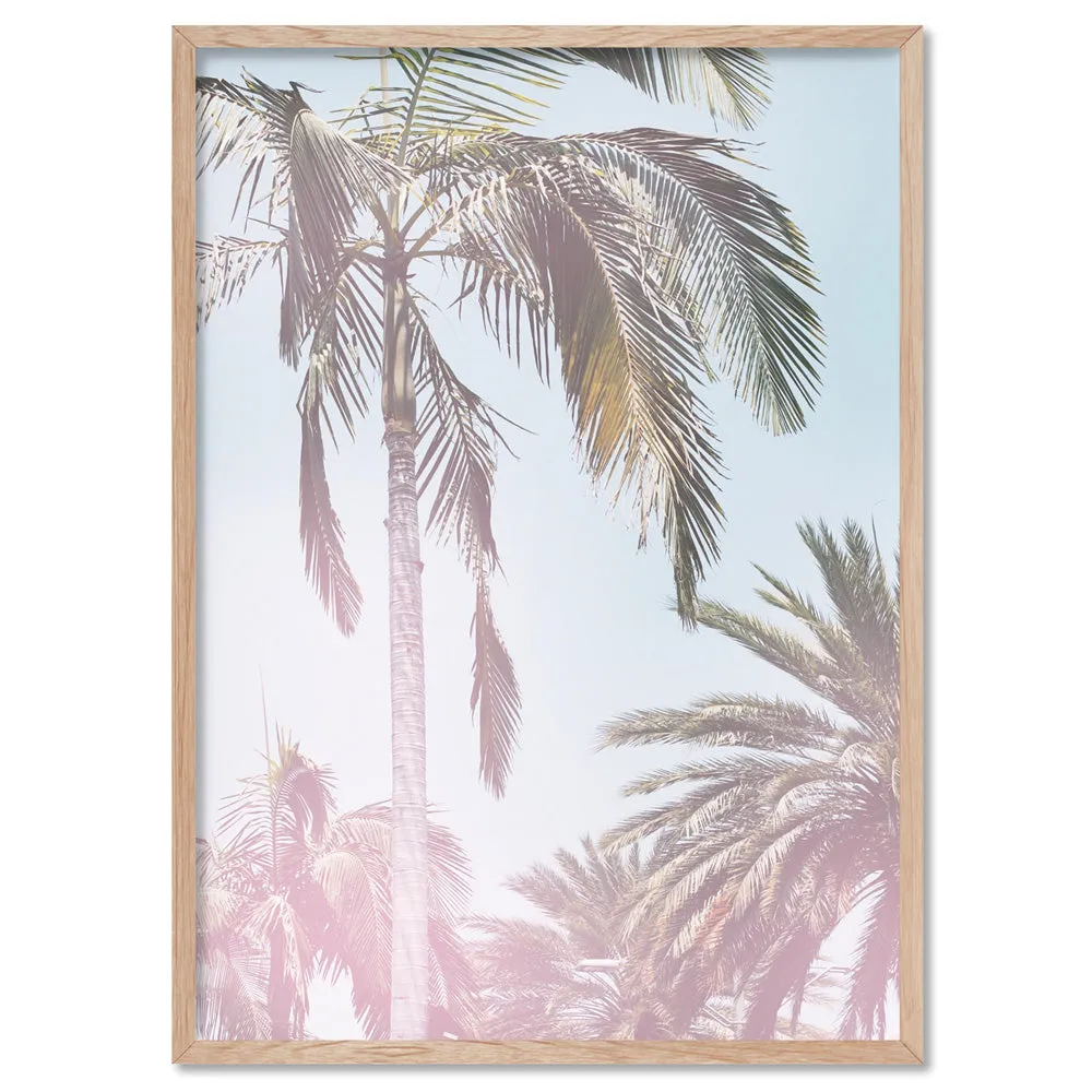 California Pastels / Palm Views - Art Print
