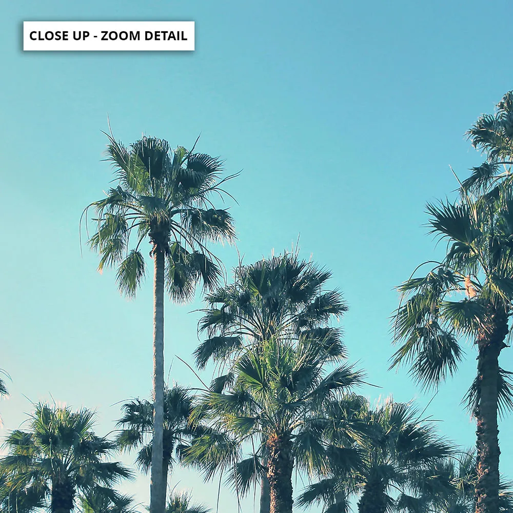 California Tropical Palms Landscape - Art Print