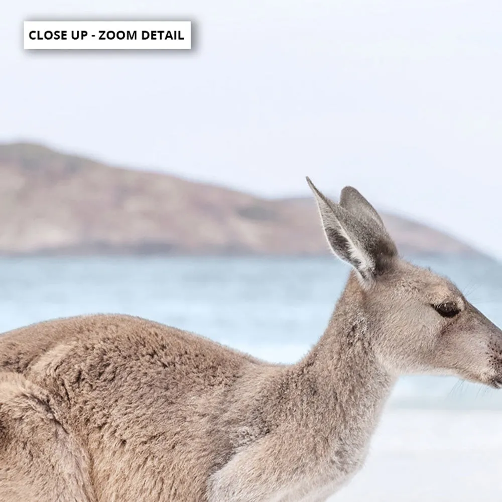 Coastal Beach Kangaroo I - Art Print
