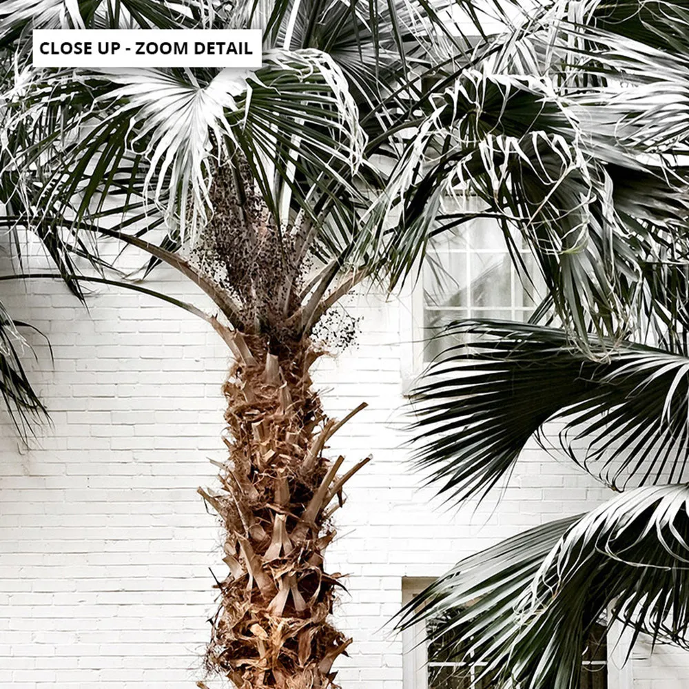 Coastal Palm Resort - Art Print