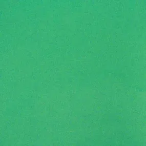 Cumberland Colourboard 200Gsm 510 X 640Mm Emerald Green Pack 50