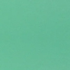 Cumberland Colourboard 200Gsm A3 Emerald Green Pack 50