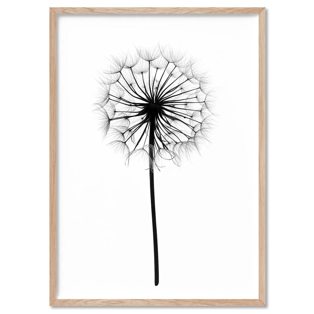 Dandelion Monochrome - Art Print