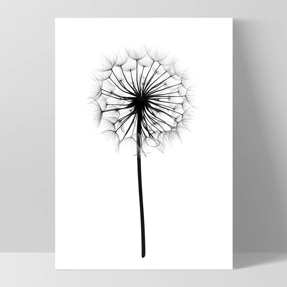 Dandelion Monochrome - Art Print