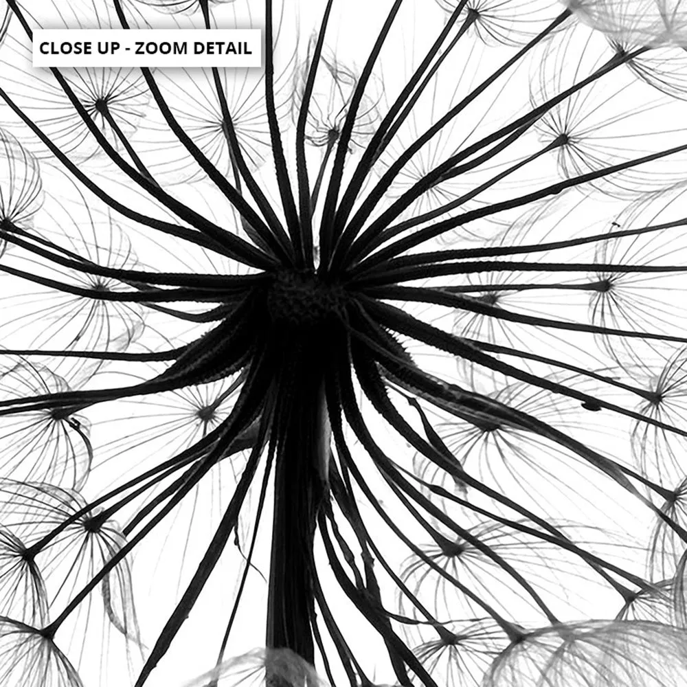 Dandelion Monochrome - Art Print