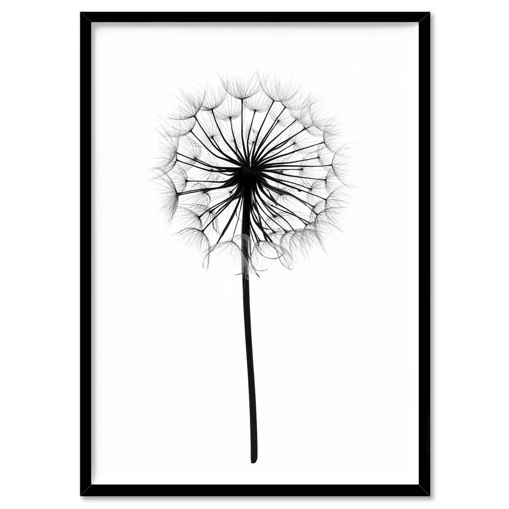 Dandelion Monochrome - Art Print