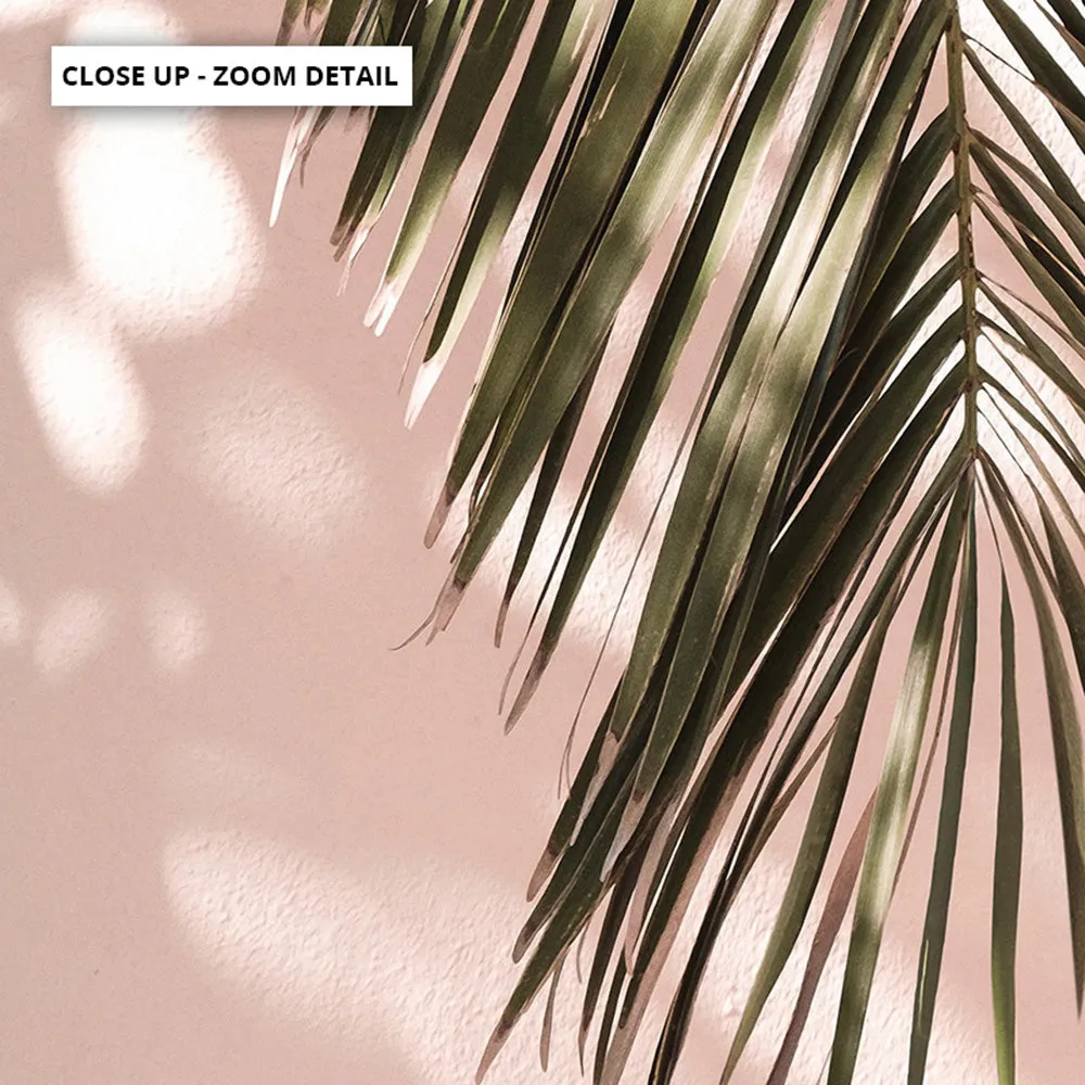 Desert Palm Frond in Afternoon Light - Art Print