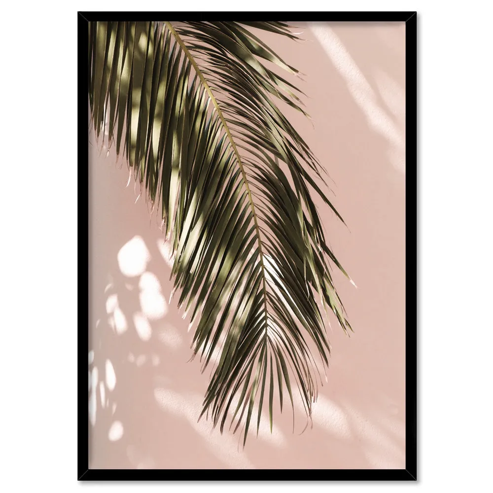 Desert Palm Frond in Afternoon Light - Art Print
