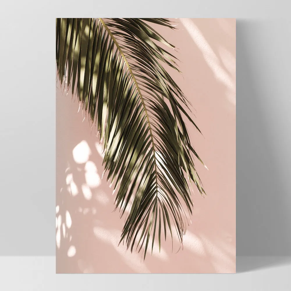 Desert Palm Frond in Afternoon Light - Art Print