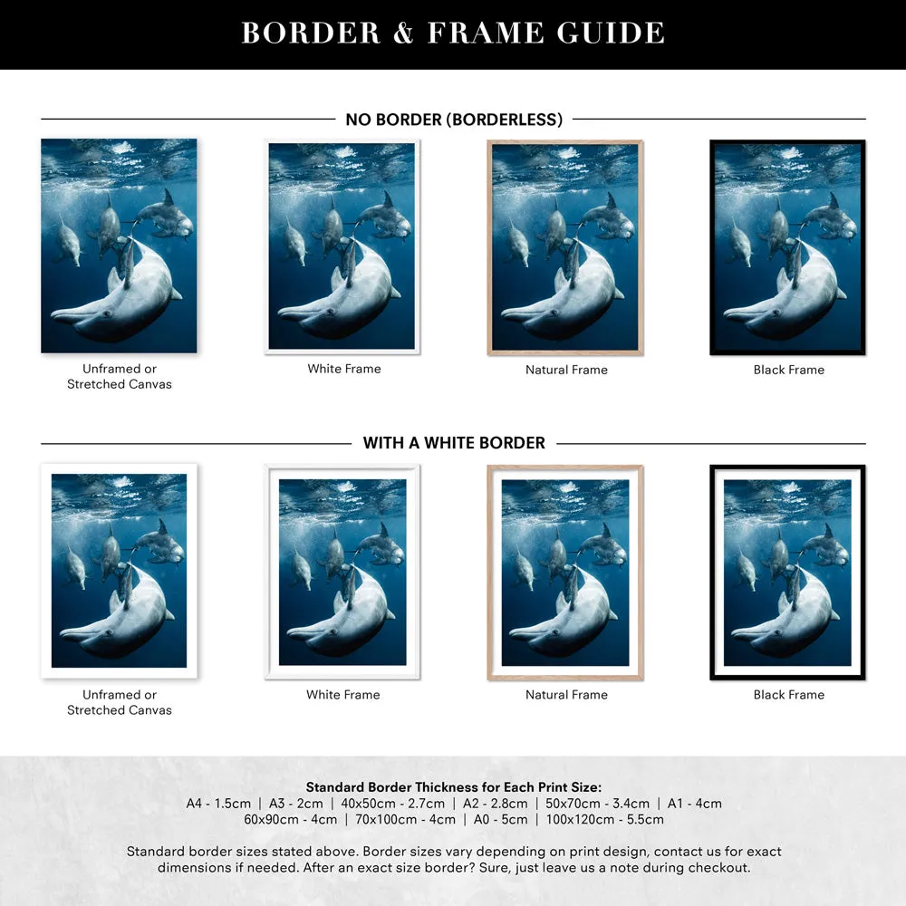 Dolphins Under the Sea - Art Print