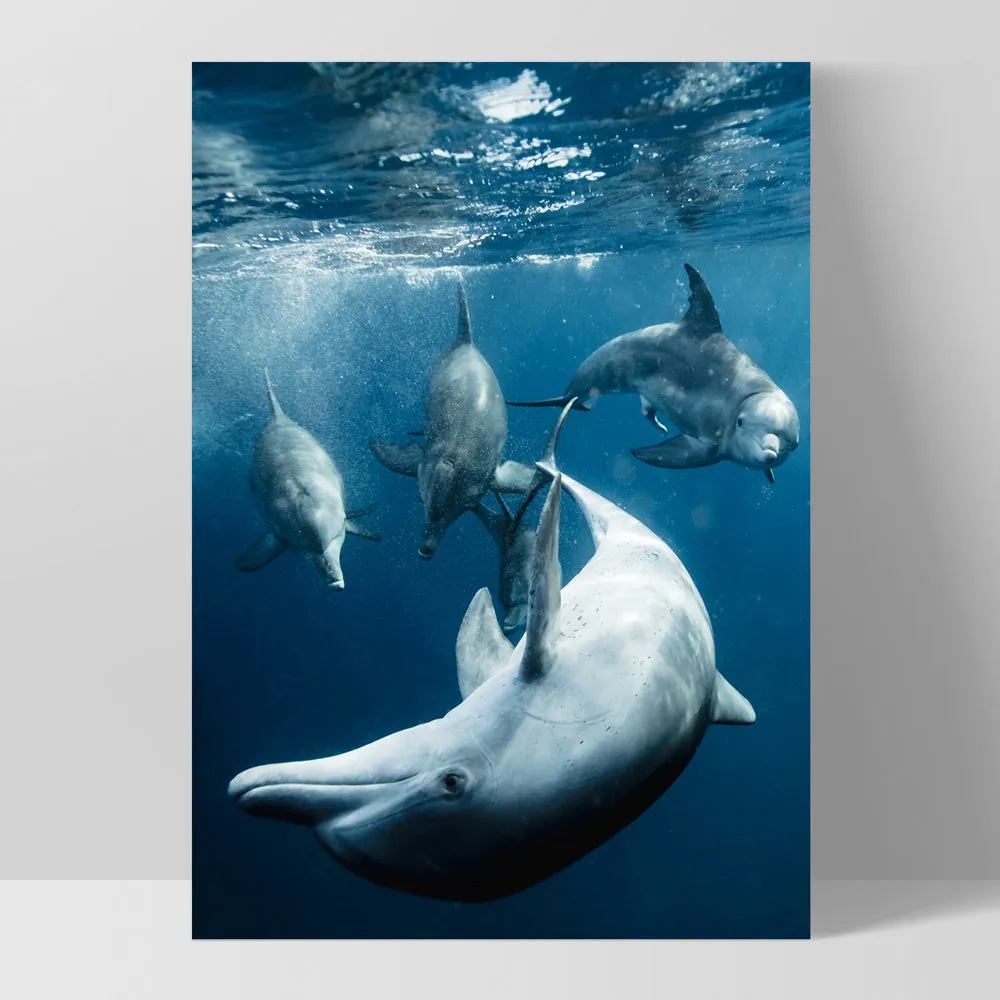 Dolphins Under the Sea - Art Print